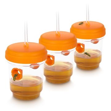 Hvepsefælde (3-pak) - orange | Gardigo