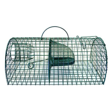 Rottefælde Trådvæv Familie 40 cm - grøn | RYOM