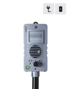 Katte & vildt skr&aelig;mmer | Silverline