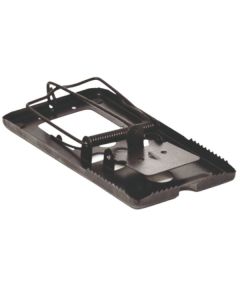 Slagf&auml;la i svartmetall mot r&aring;ttor.